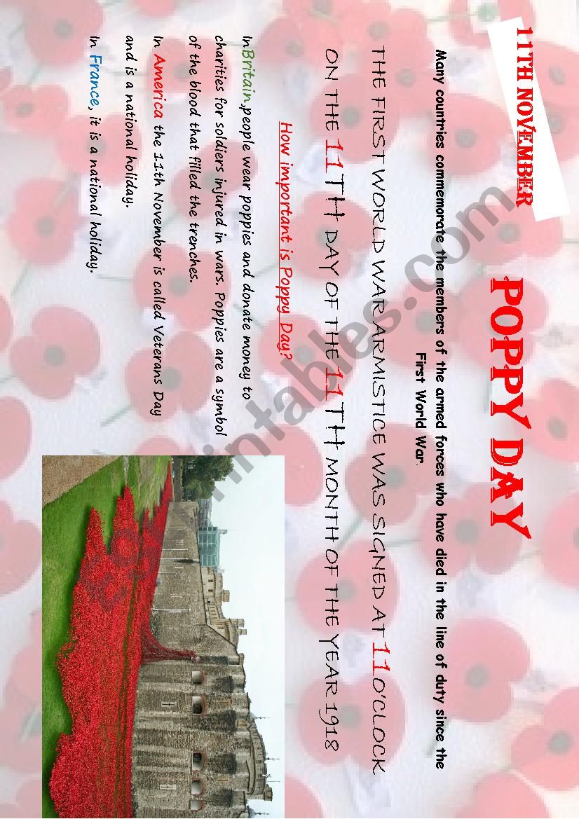 Poppy Day worksheet