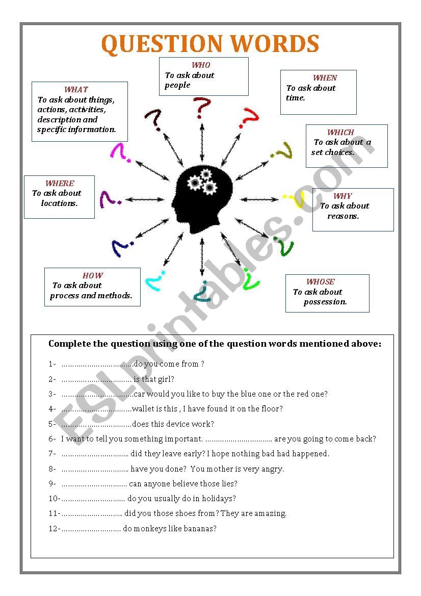 question words worksheet