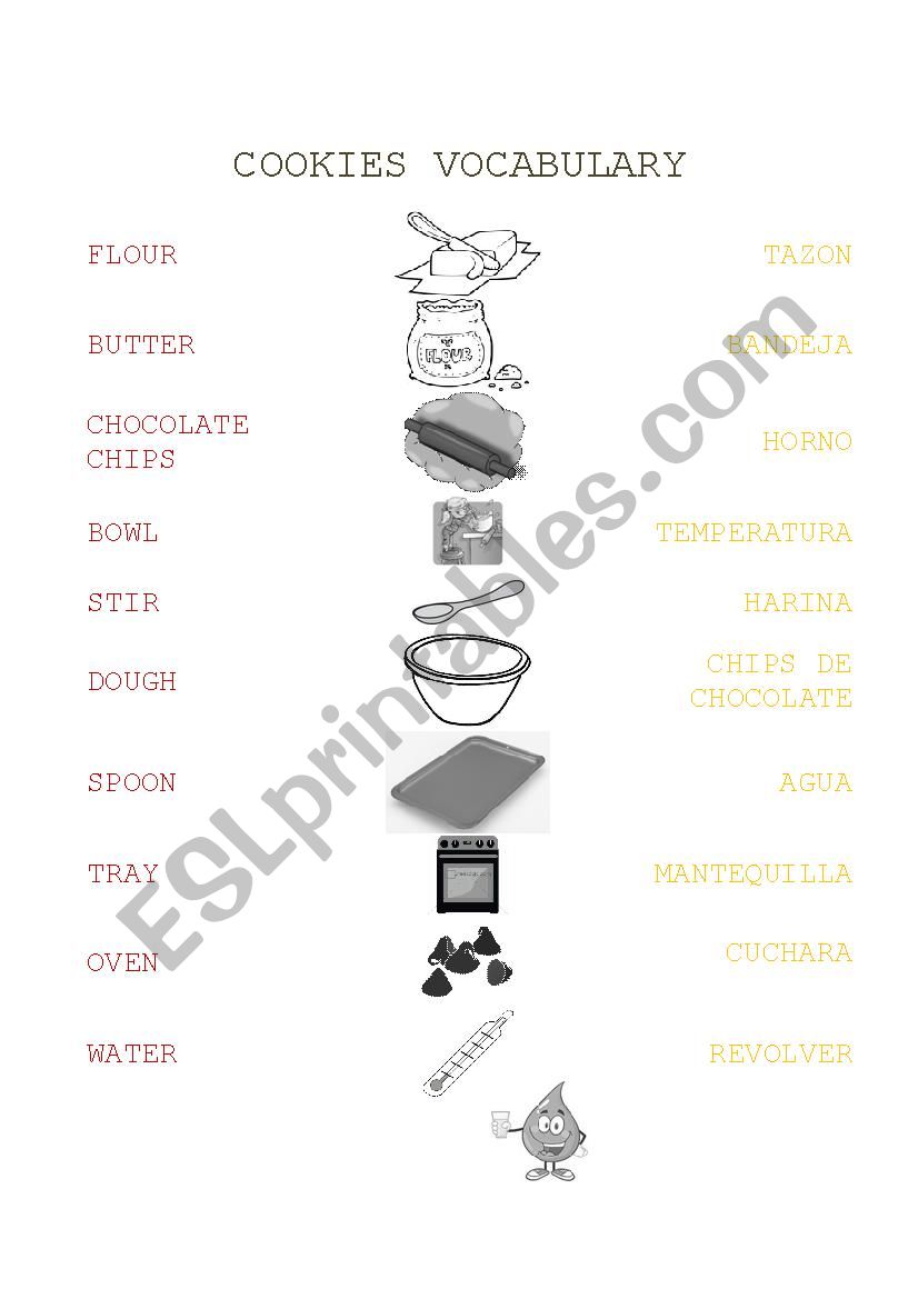 COOKIES VOCABULARY worksheet
