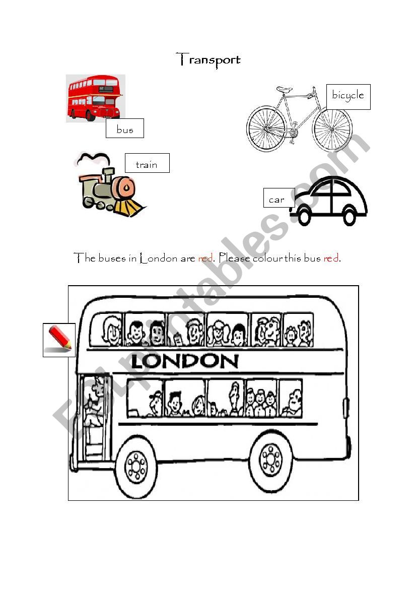 Transport worksheet