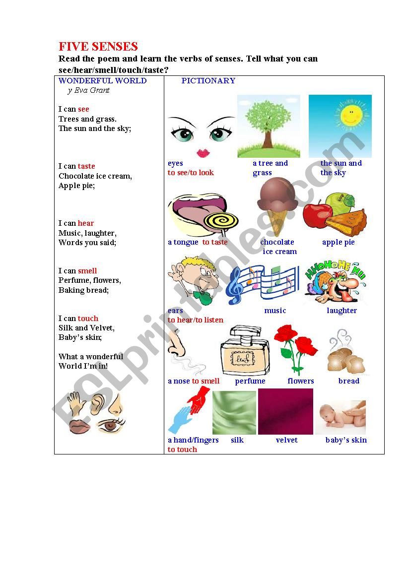 WONDERFUL WORLD (a short illustrated poem about senses)