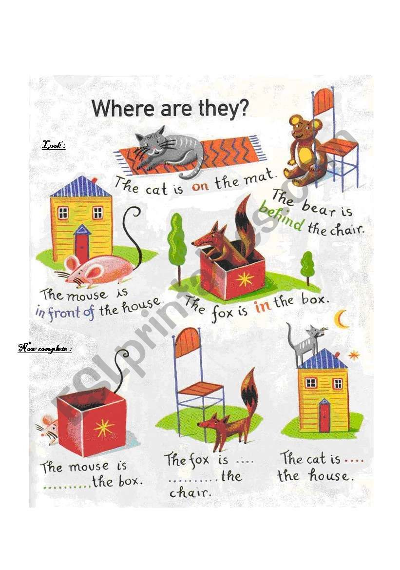 Where are they? worksheet