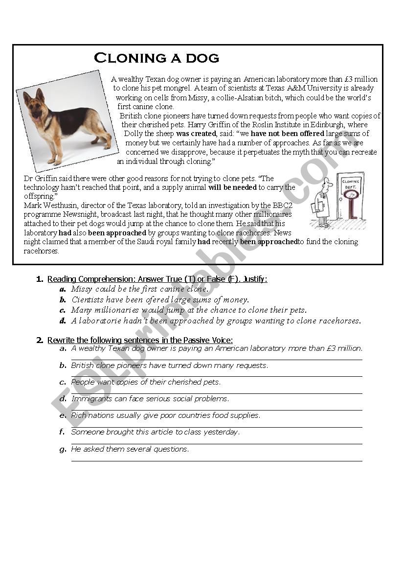 Clonning a dog worksheet