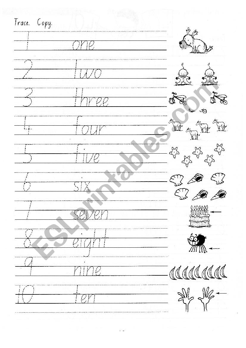 Trace numbers worksheet