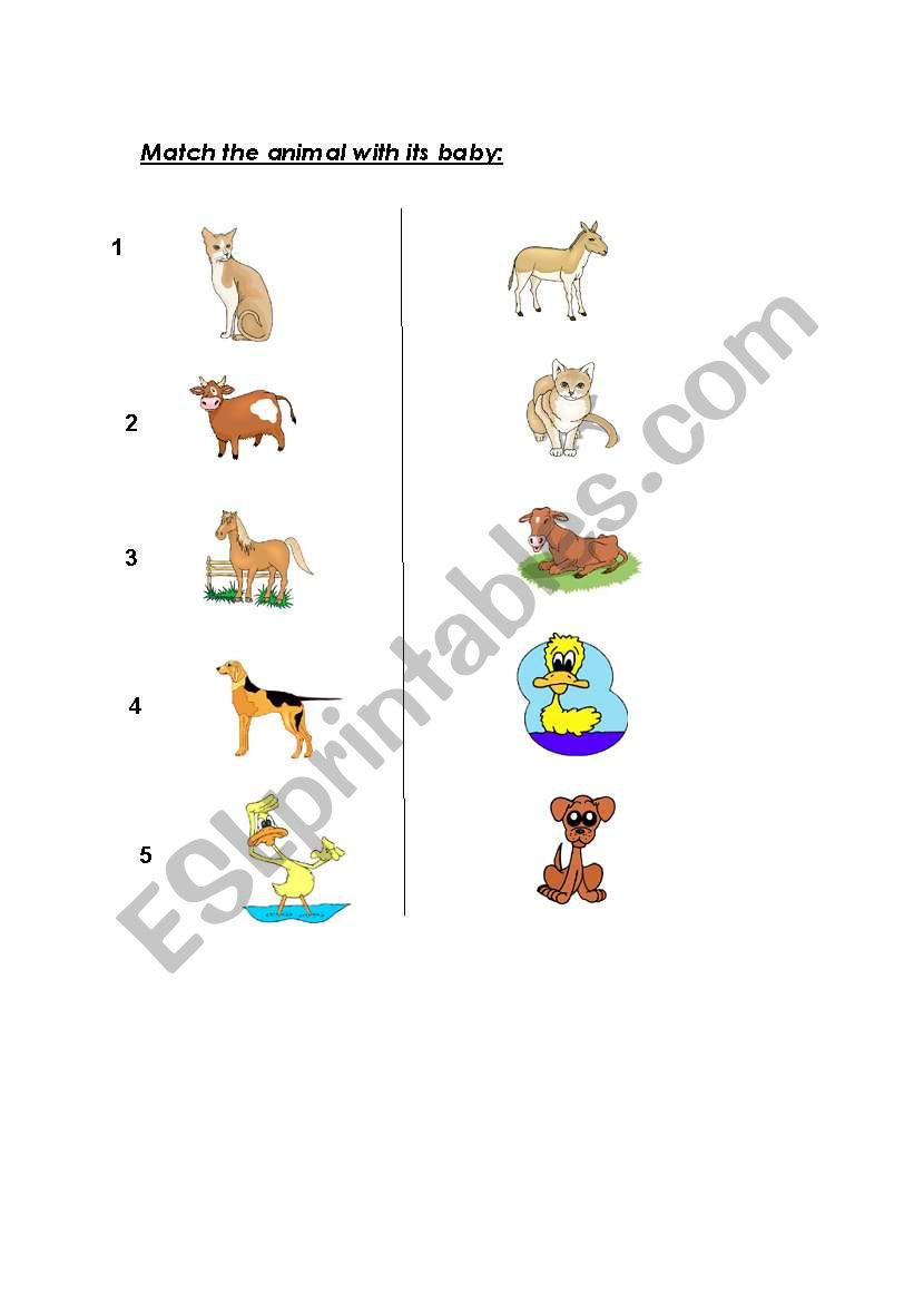 animals and thier babies worksheet