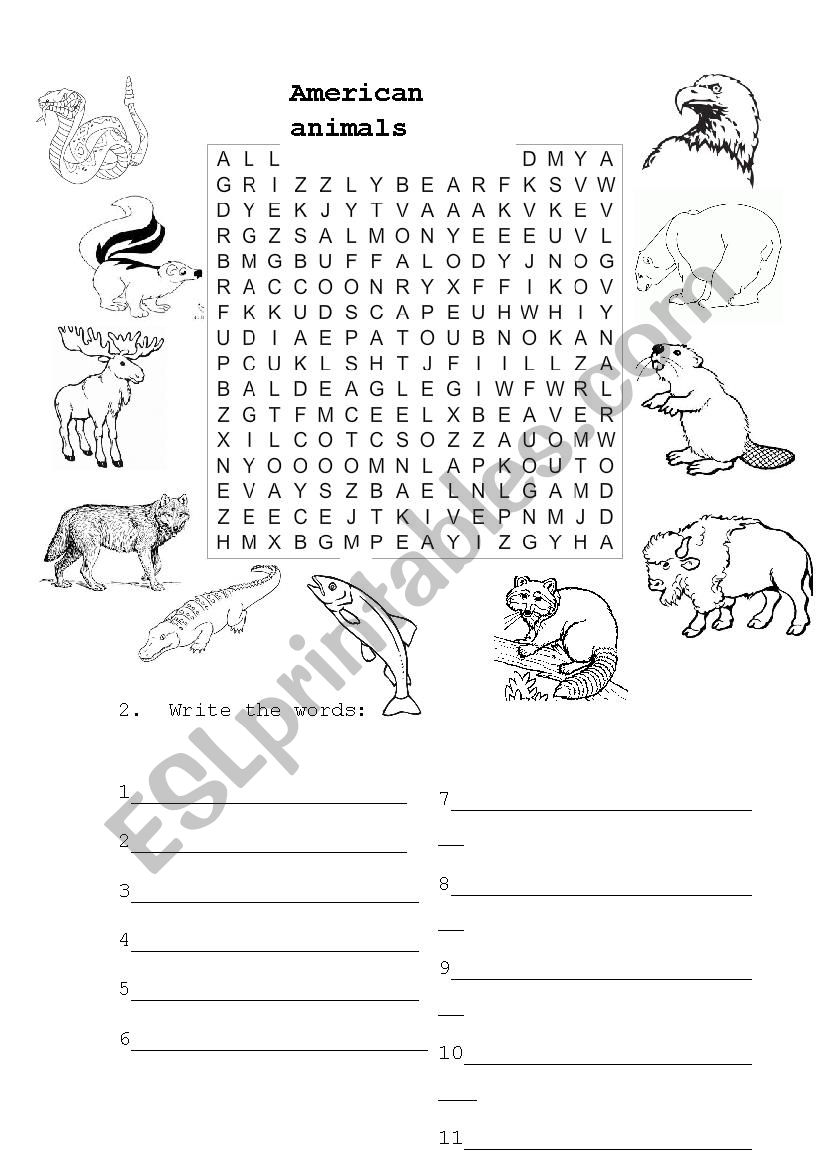 American animals worksheet