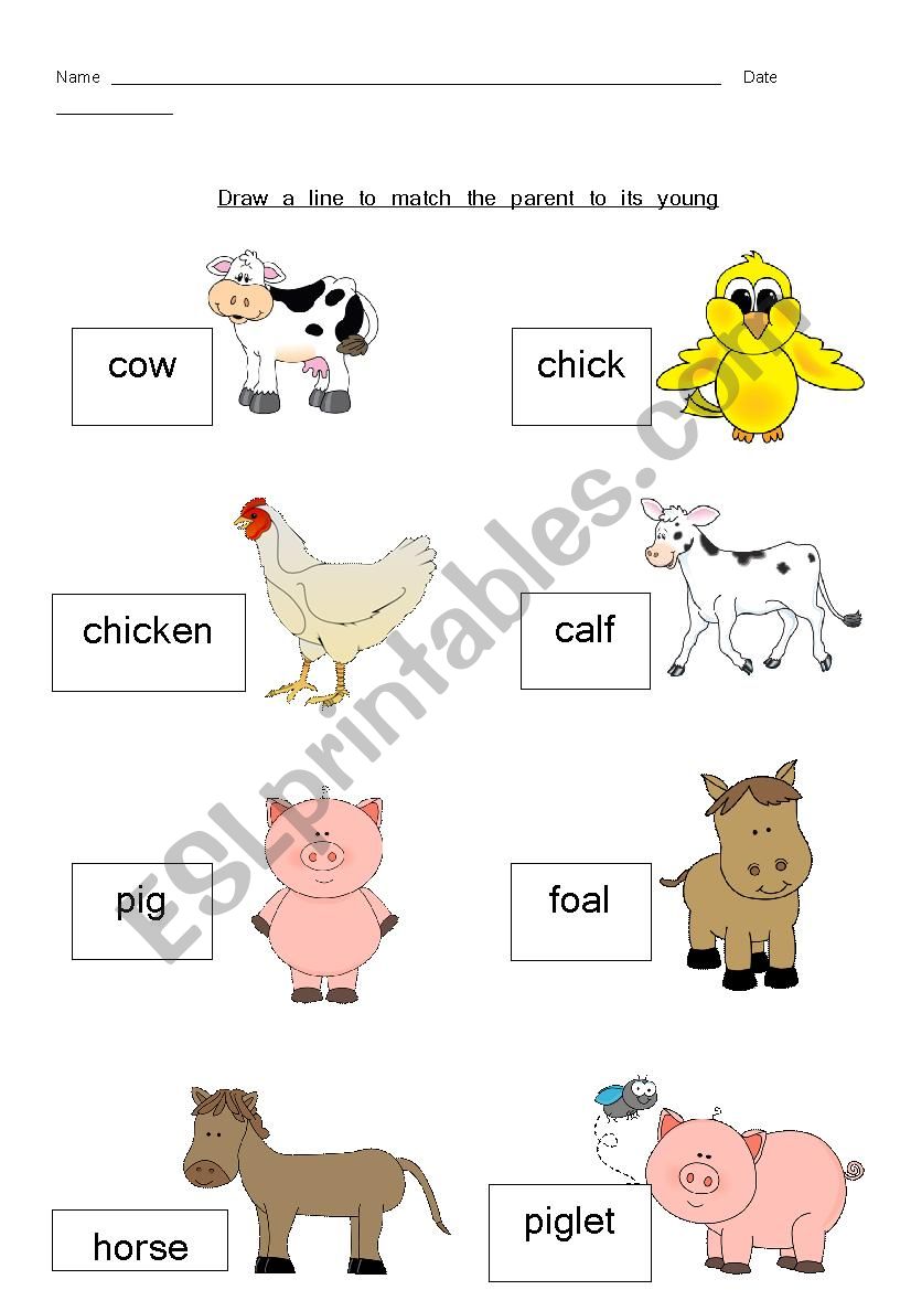 Baby Animals Match worksheet