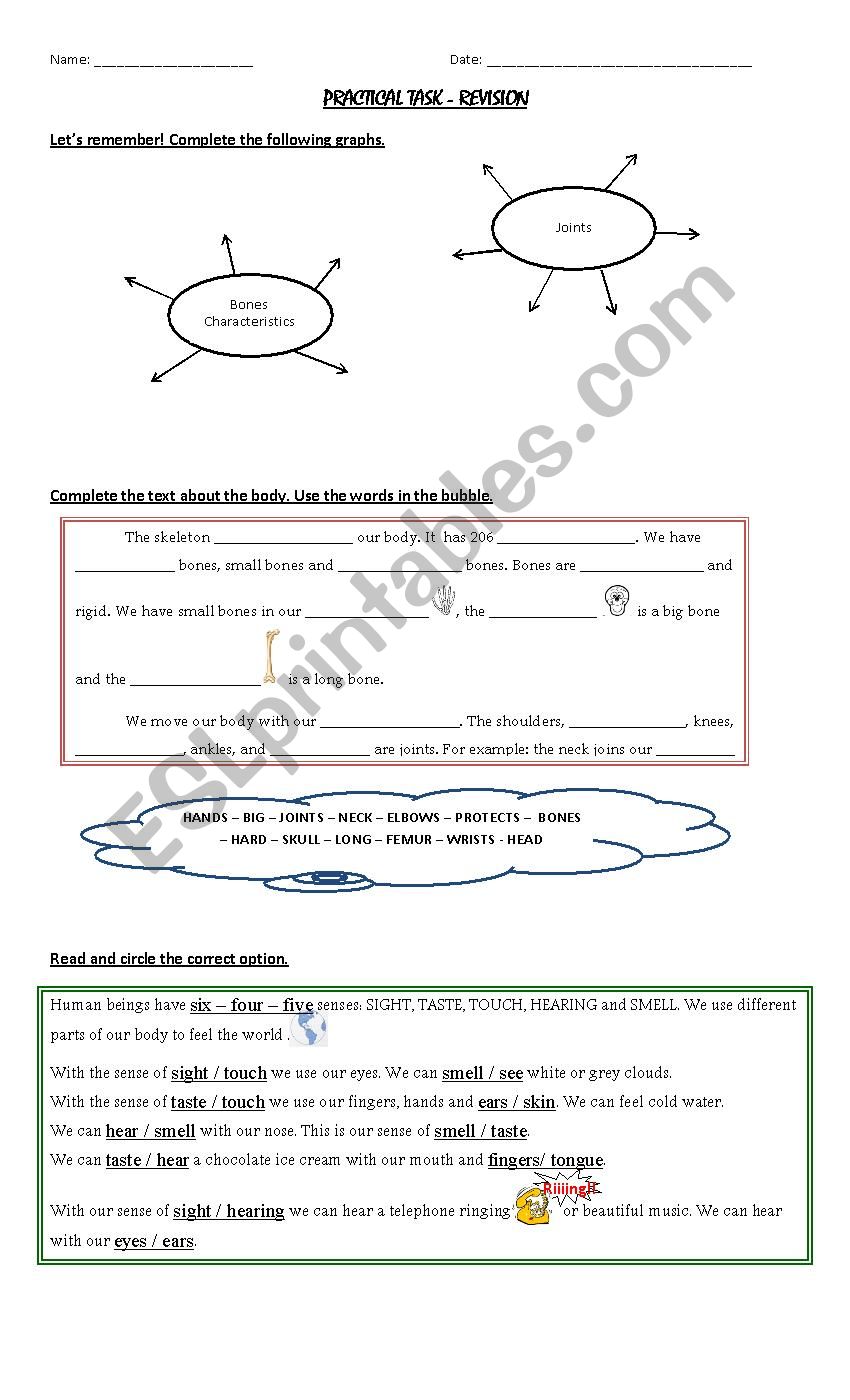 Revision Body and Senses worksheet