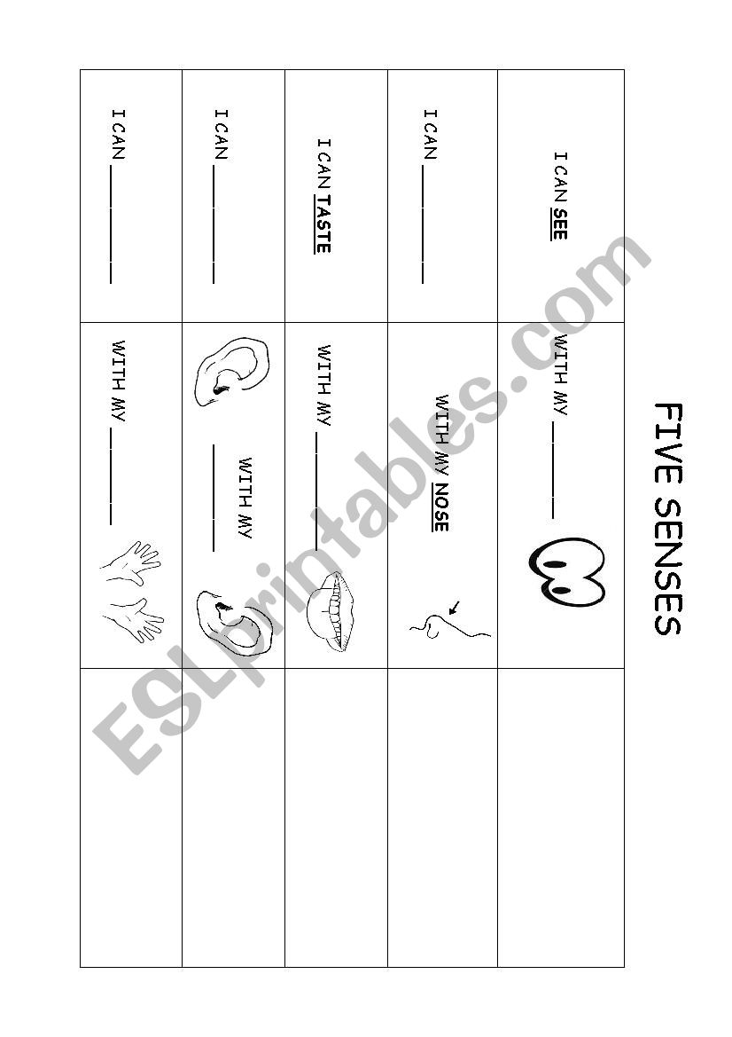 Five senses worksheet