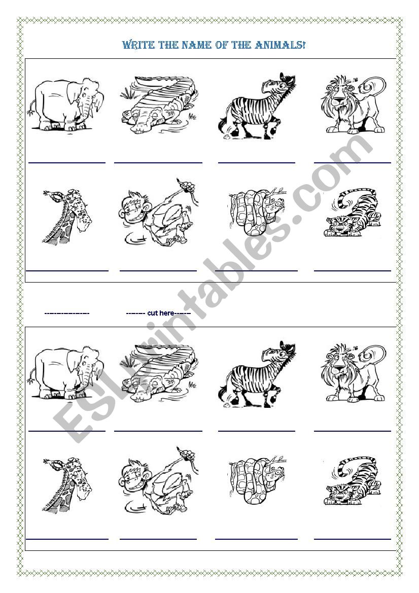 Animals ! Cool Kids 3 worksheet