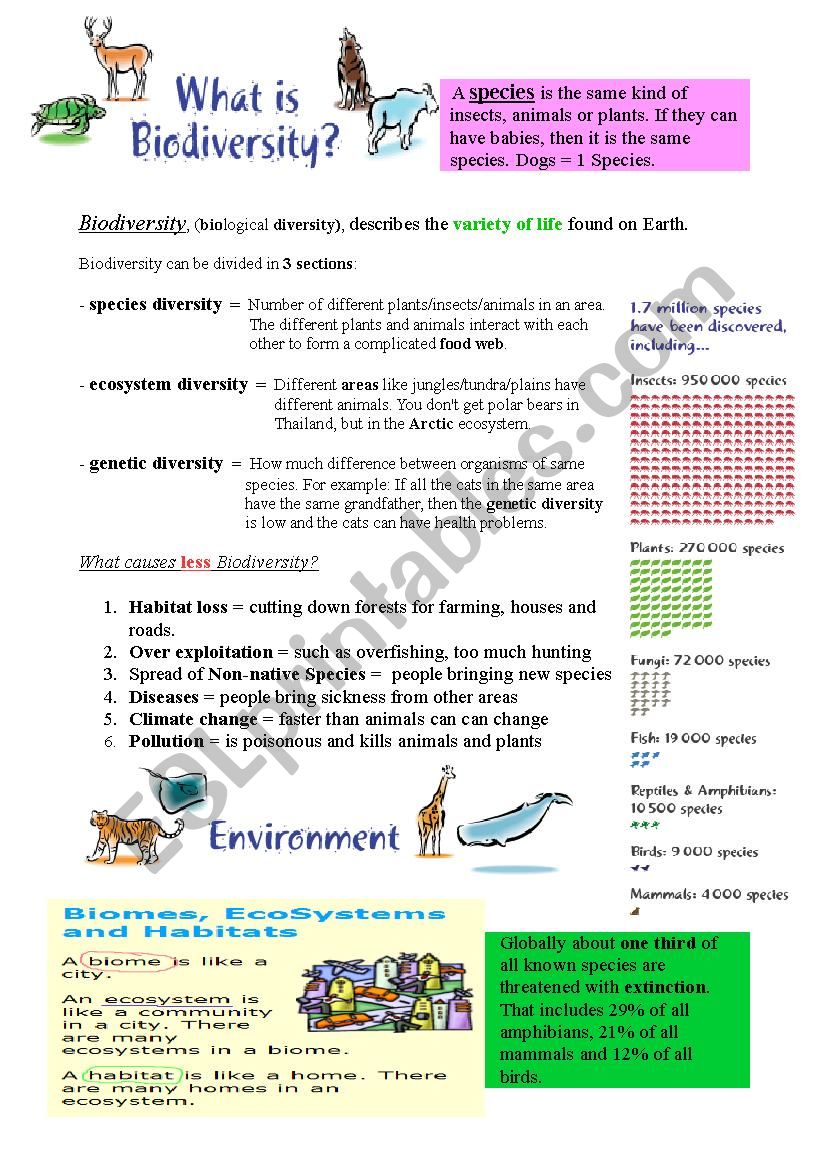 Biodiversity Info Sheet worksheet