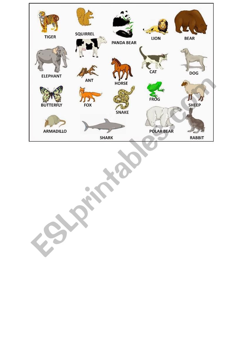 Animals worksheet