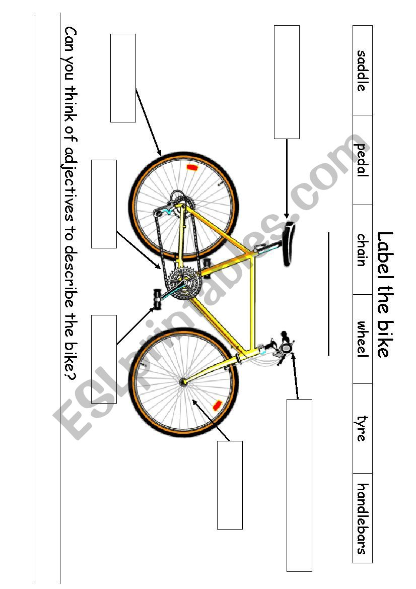 Bike label worksheet worksheet