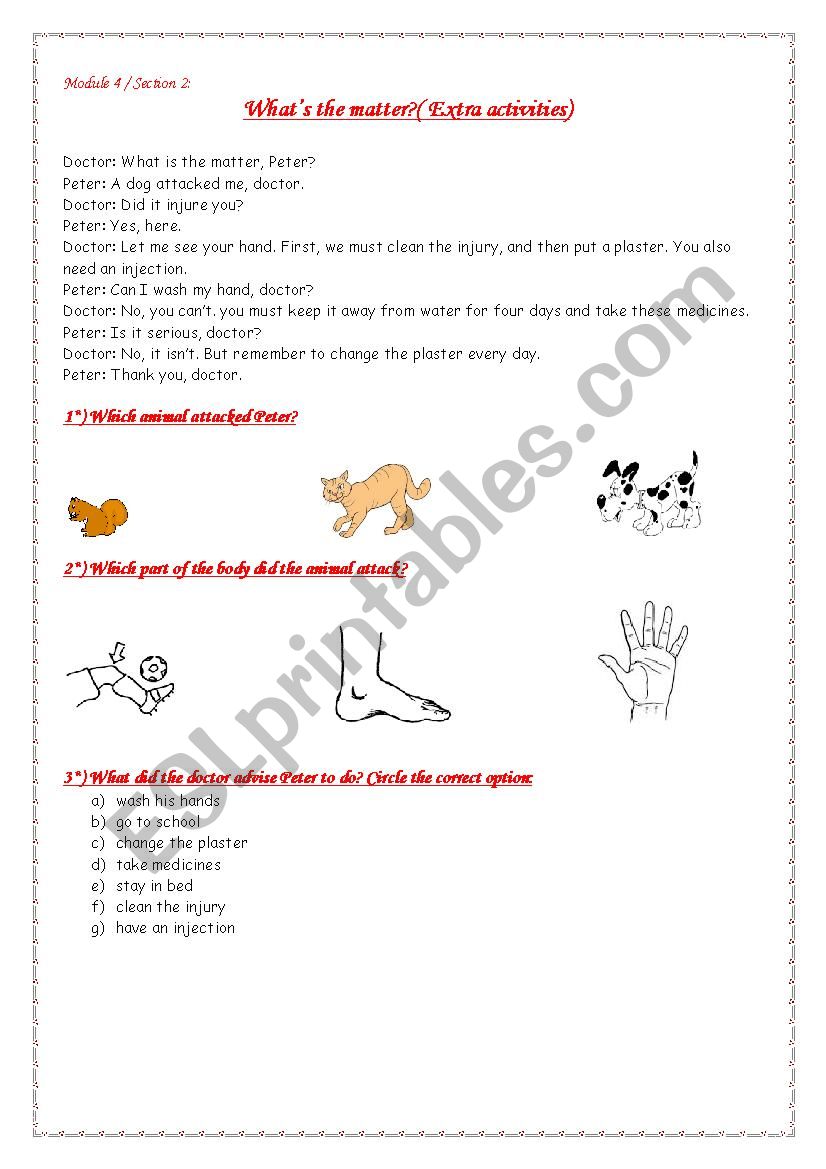 module 4 section 2 Whats the matter?