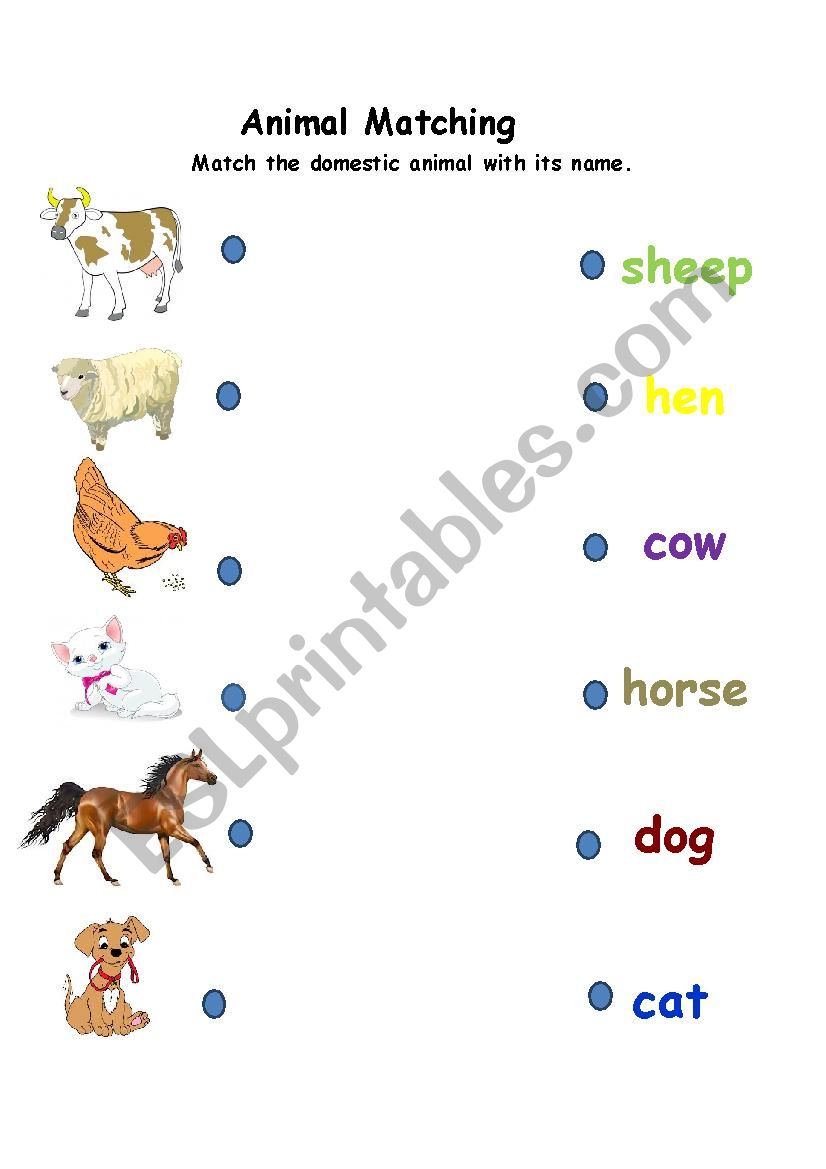Animal Names worksheet