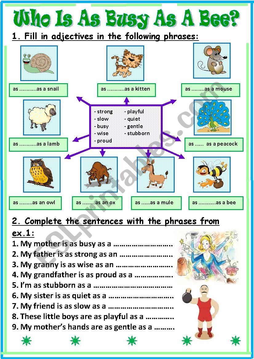Who Is As Busy As A Bee? worksheet
