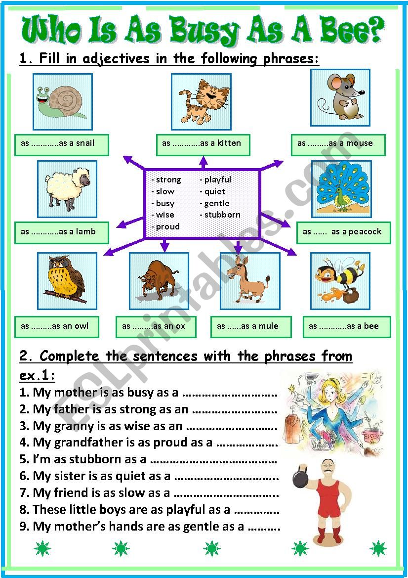 Who Is As Busy As A Bee? worksheet