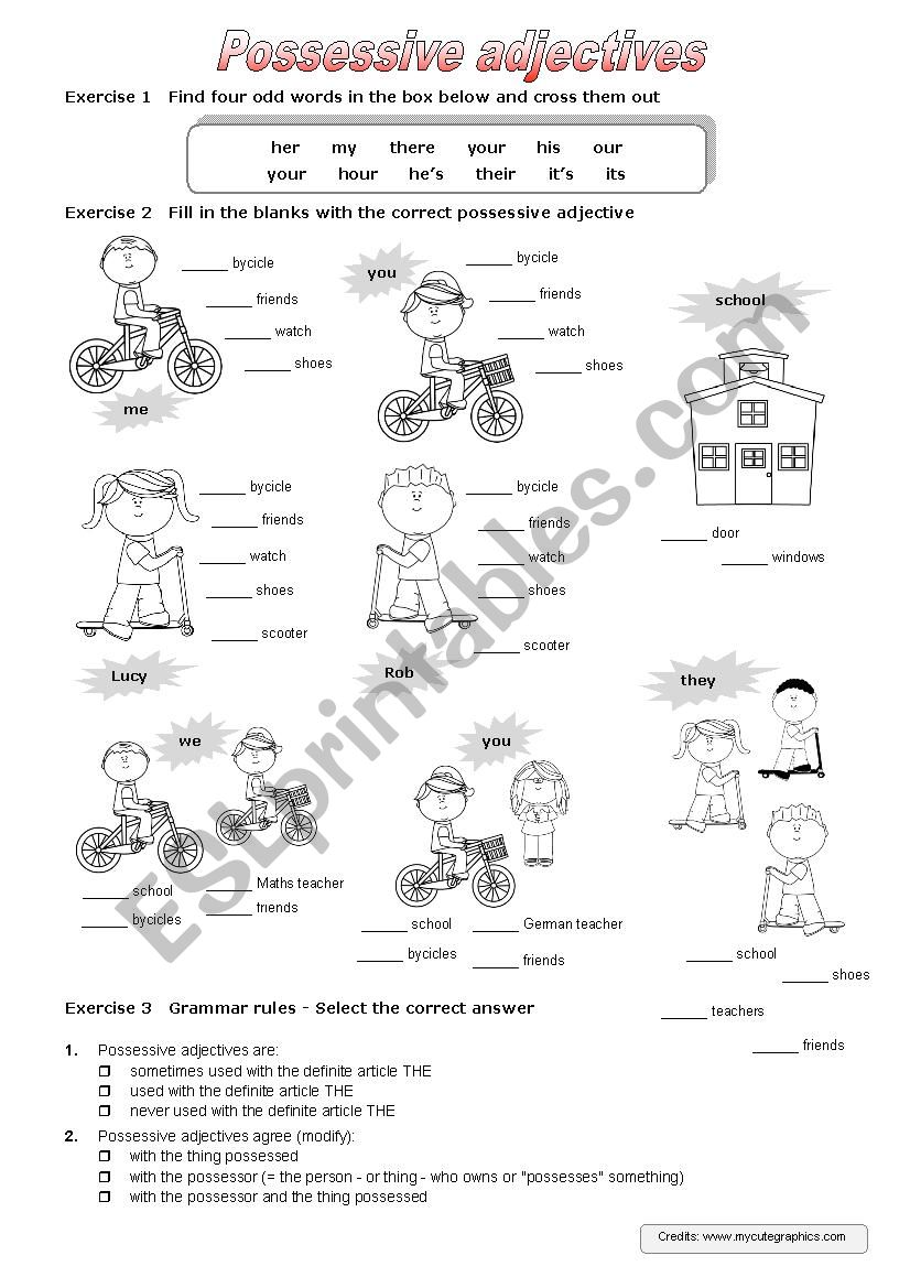 Possessive adjectives - An introduction