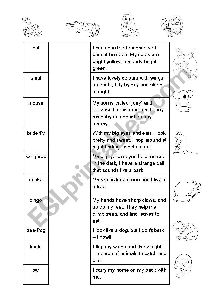 Australian Animals worksheet