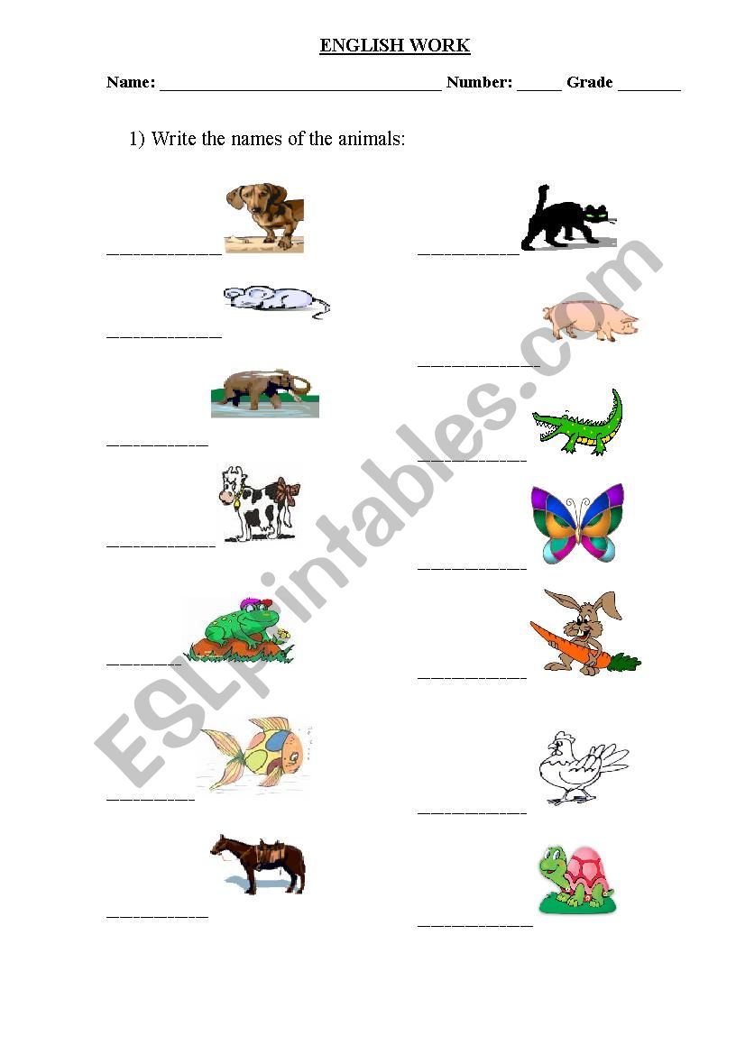 animals worksheet
