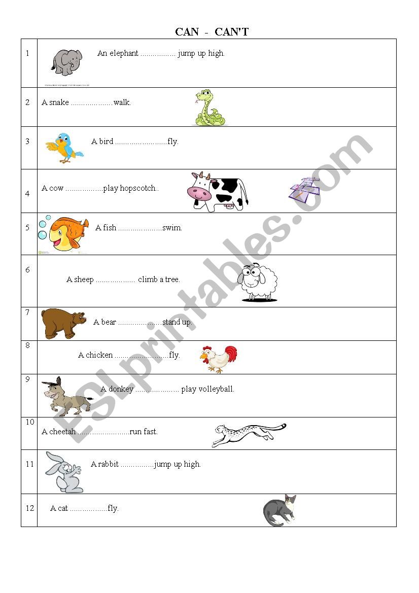 can cant worksheet