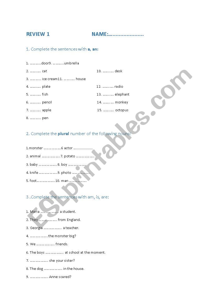 1st review worksheet