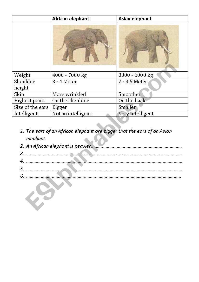 African and Asian Elephants worksheet