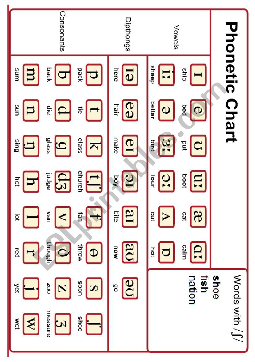 alphabet worksheet