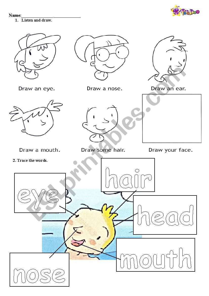 Facial Features worksheet