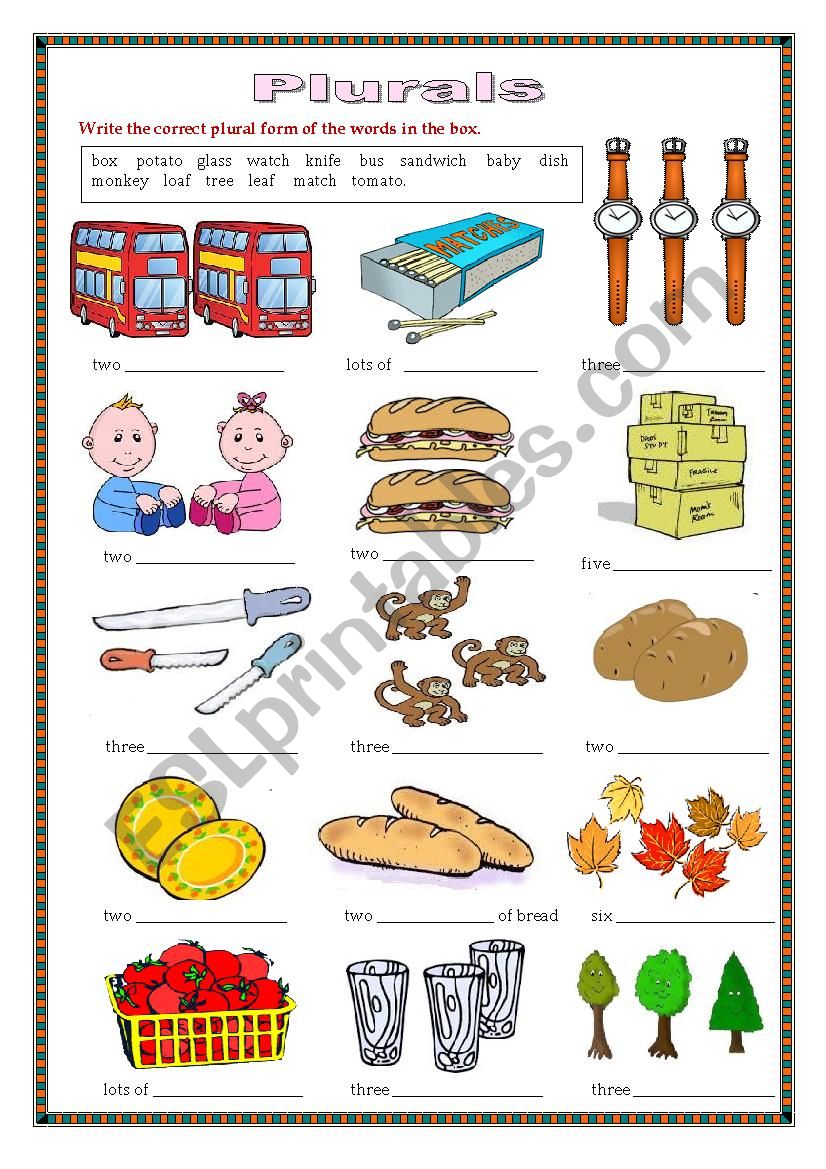 Plurals worksheet