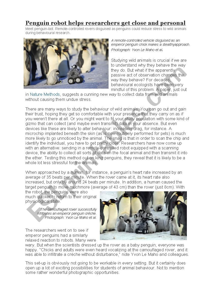 News article and exercises: penguin research robot
