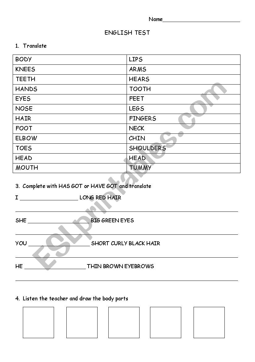 body parts worksheet