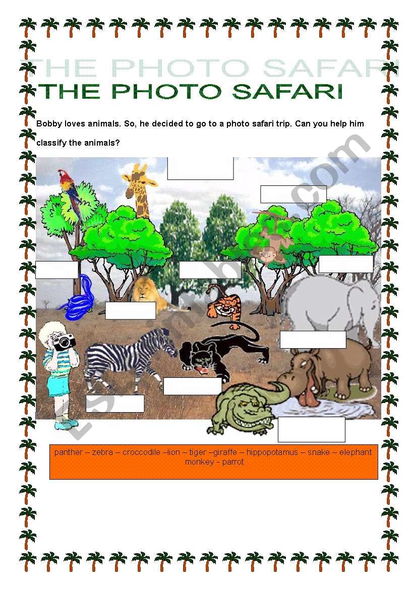 THE PHOTO SAFARI worksheet