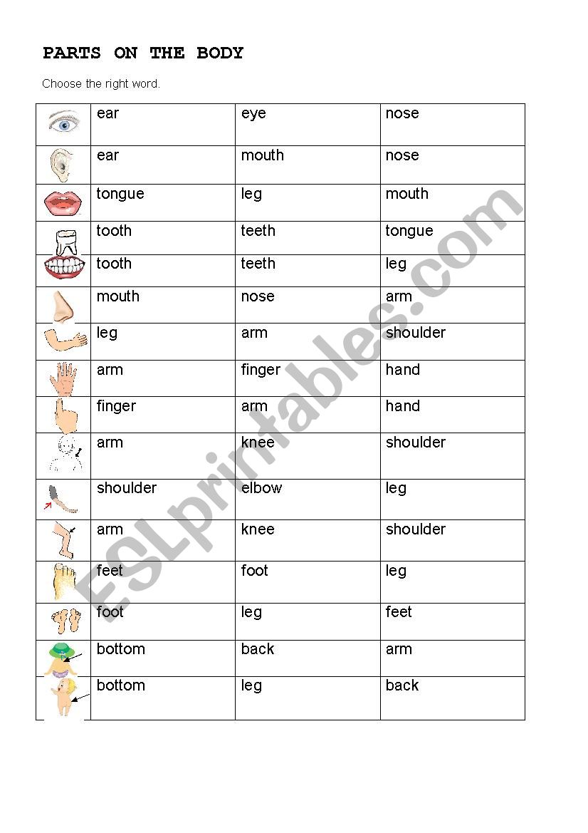 PARTS OF THE BODY worksheet