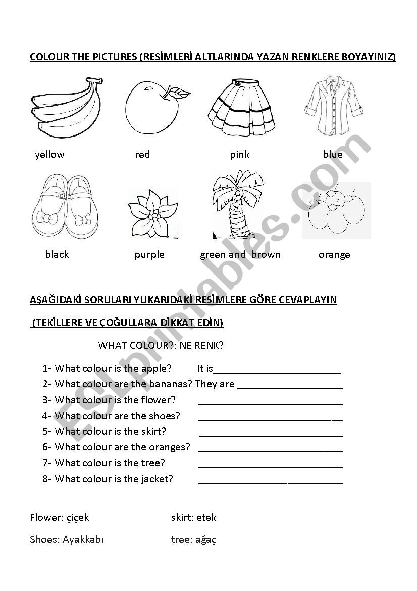 what color worksheet