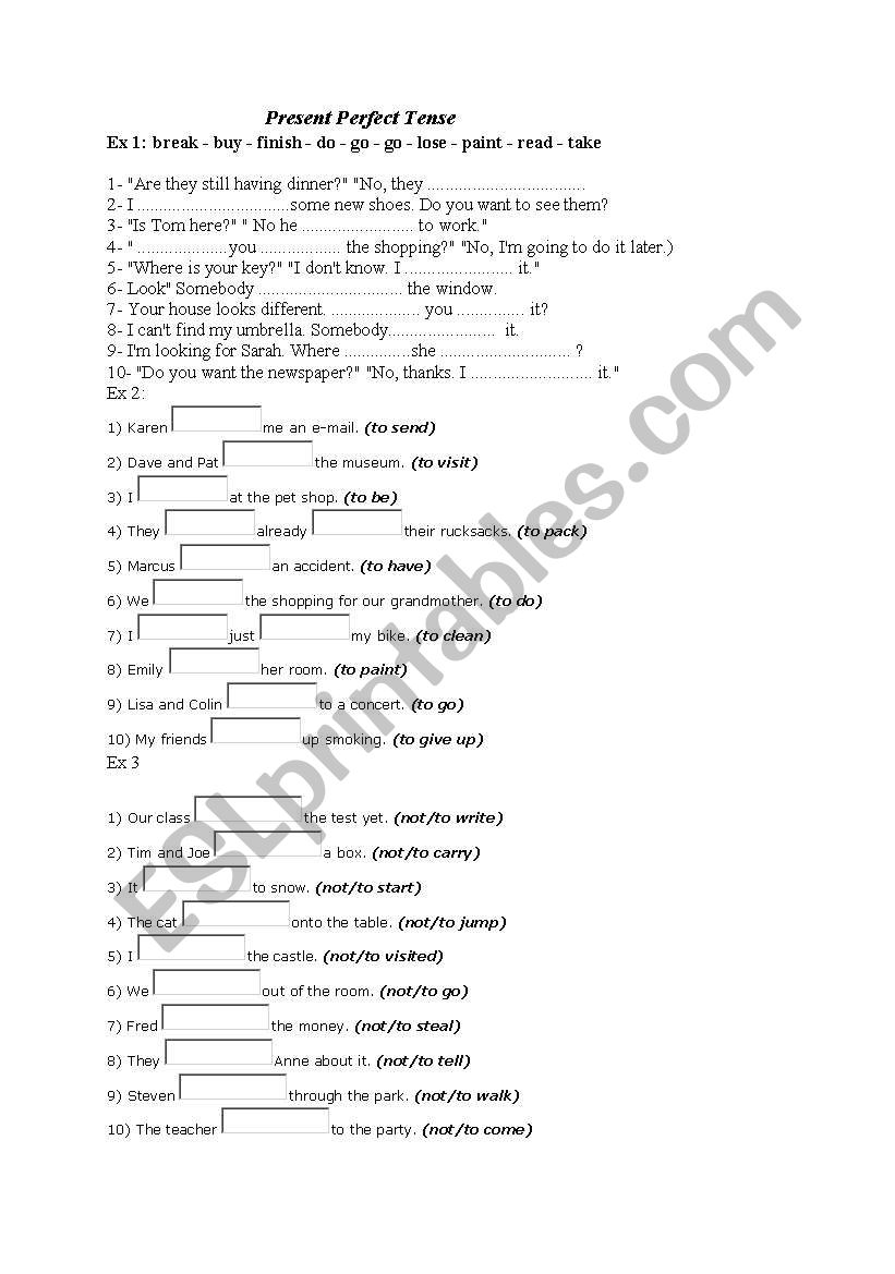 presenet perfect class activity