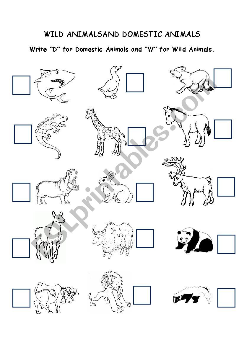 wild and domestic animals worksheet