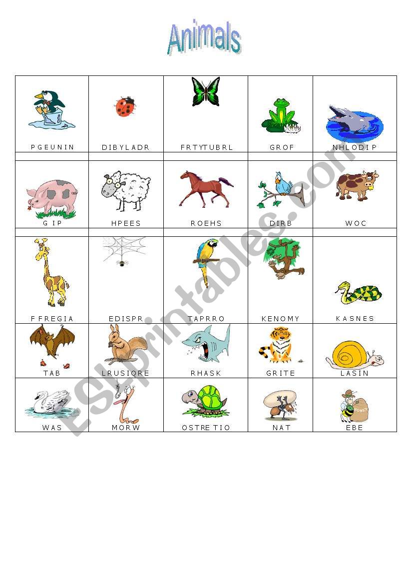 animals worksheet