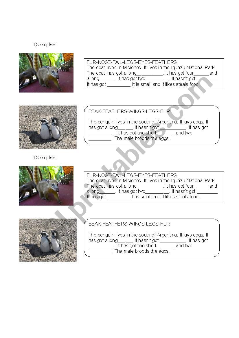 animals of Argentina worksheet