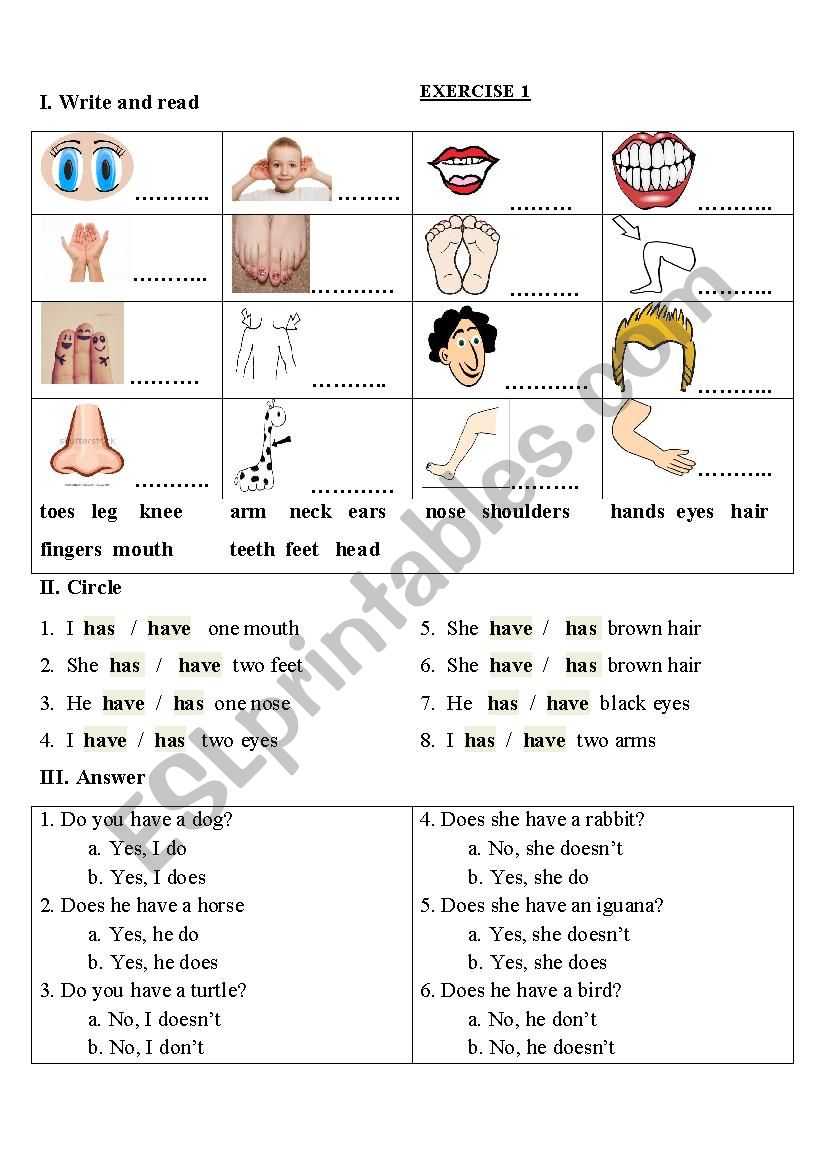 parts of the body - have or has