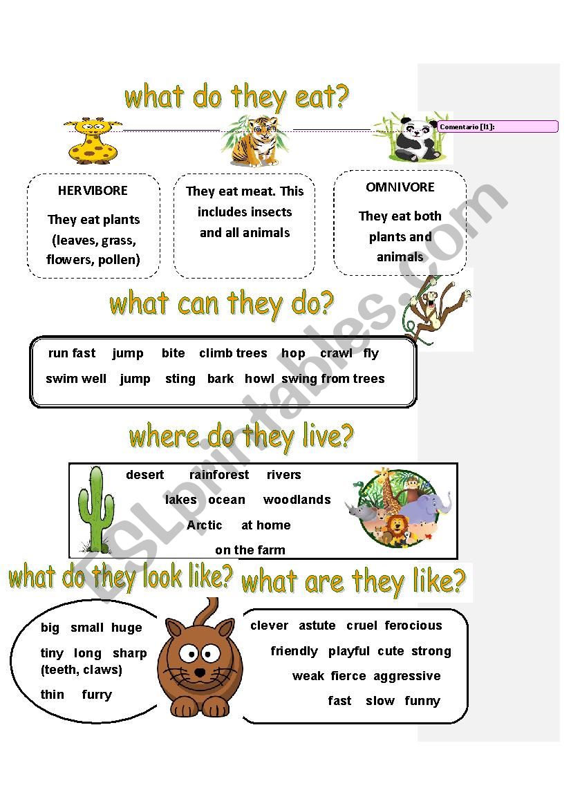 animal facts worksheet