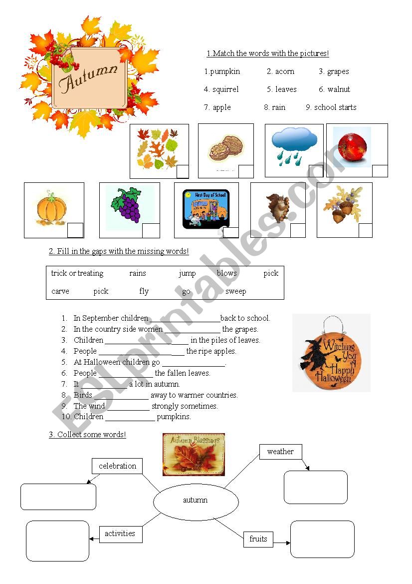 Autumn words pratice worksheet