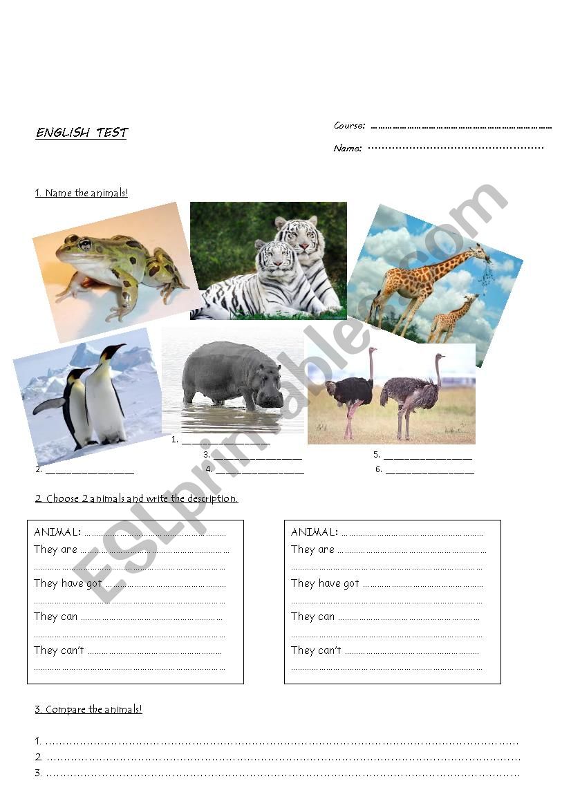 English Test To Be / Have / Can + animals