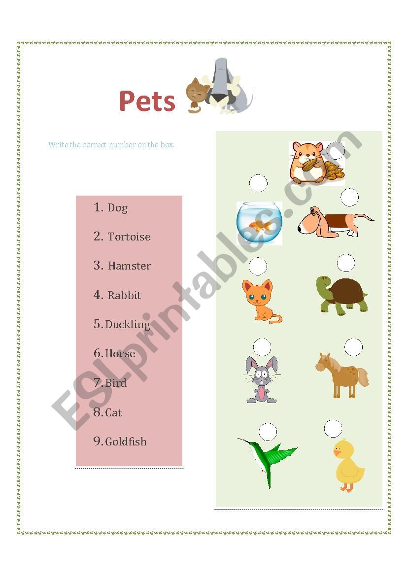 Pets worksheet