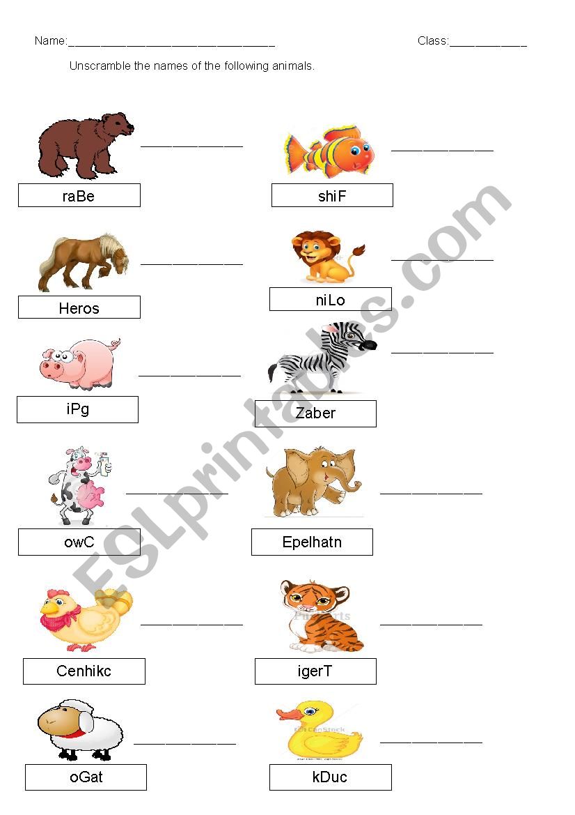 Animal Spelling worksheet