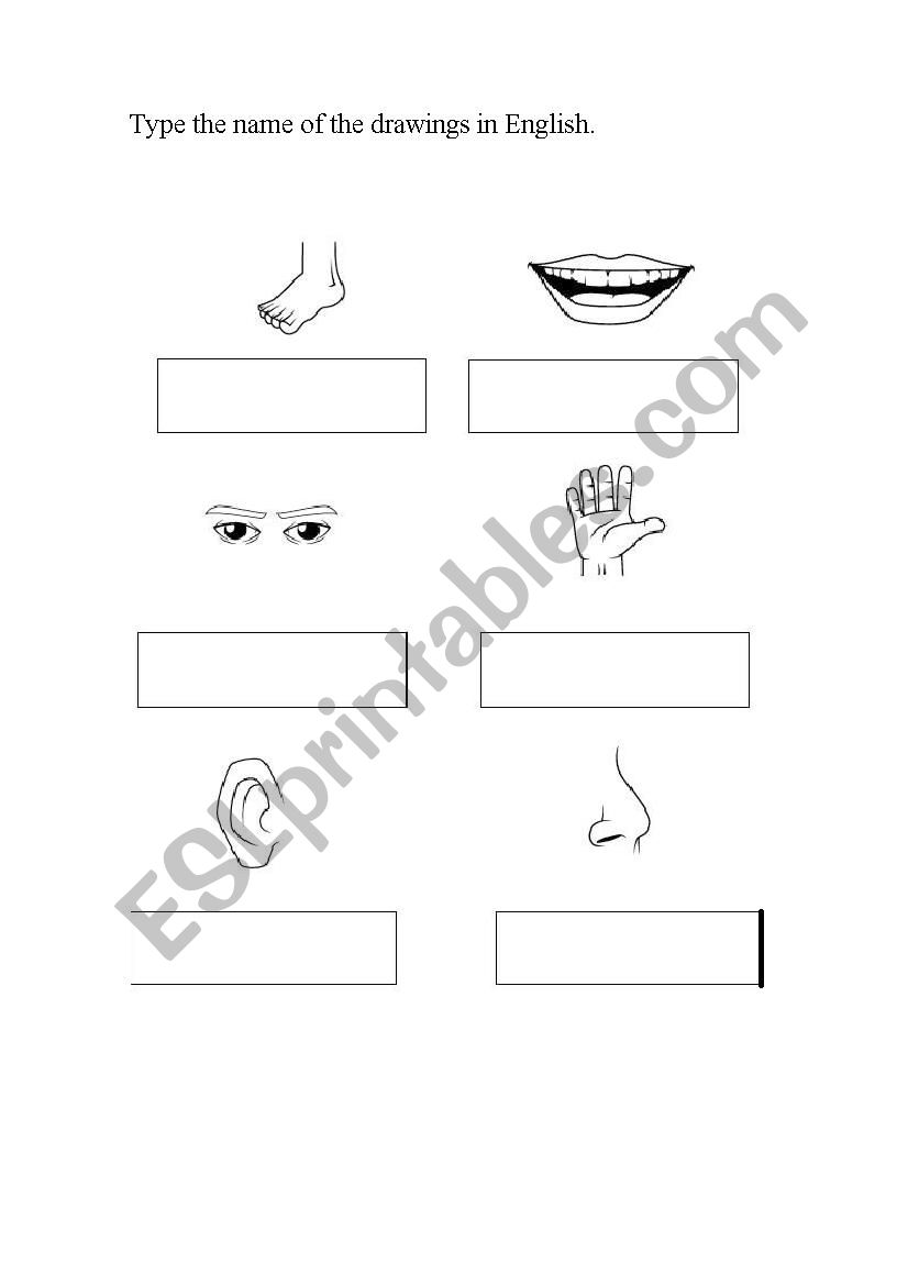 My body worksheet