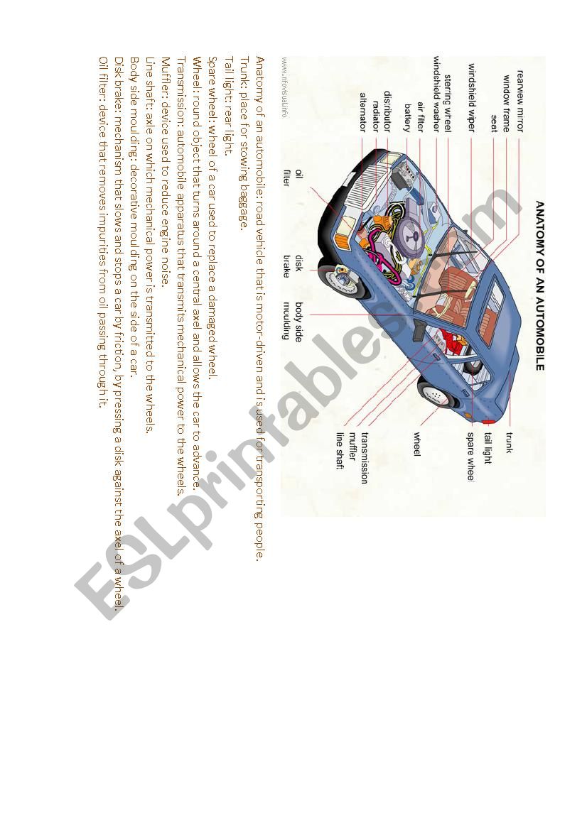 Anatomy of an automobile worksheet