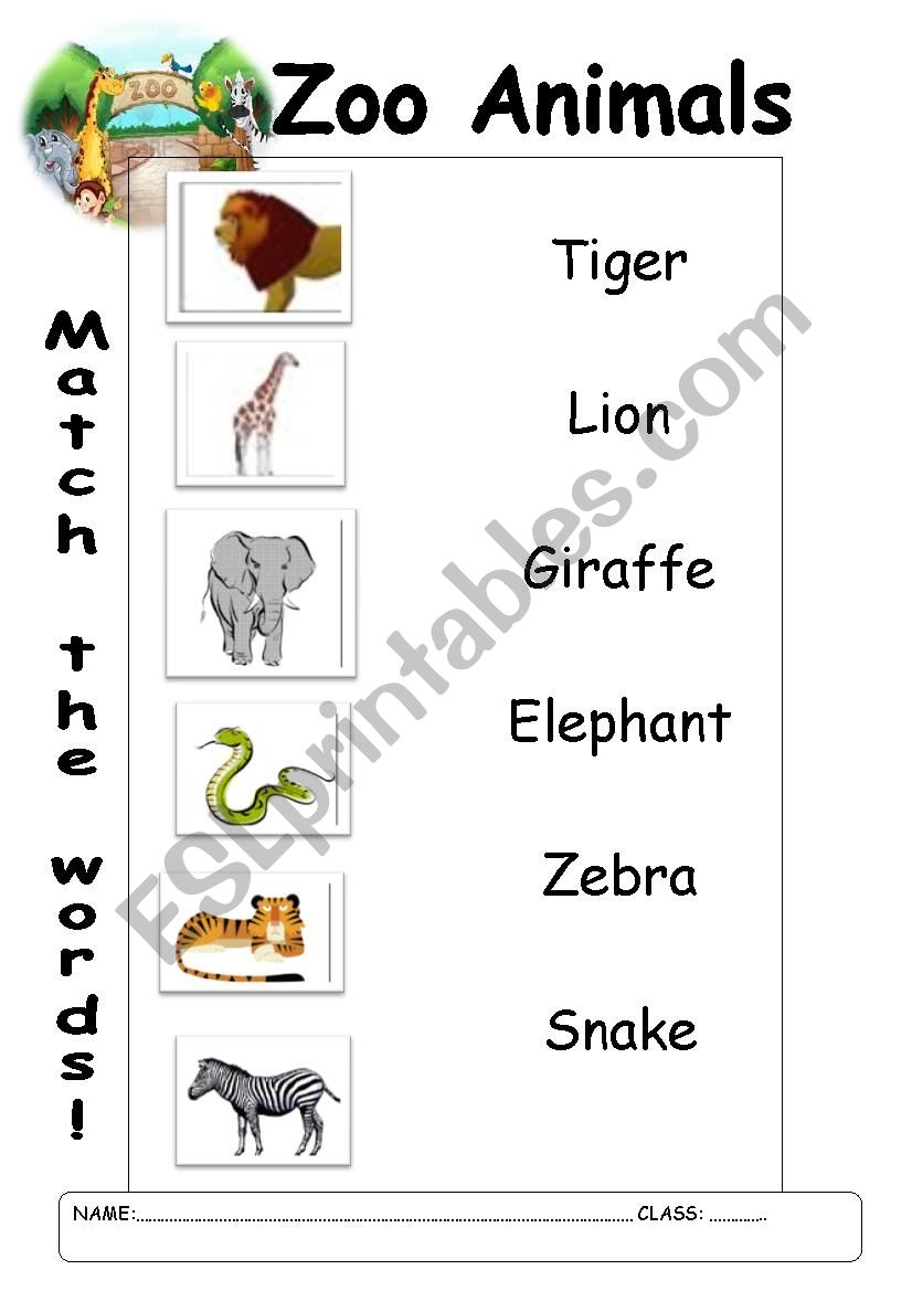 Zoo Animals worksheet