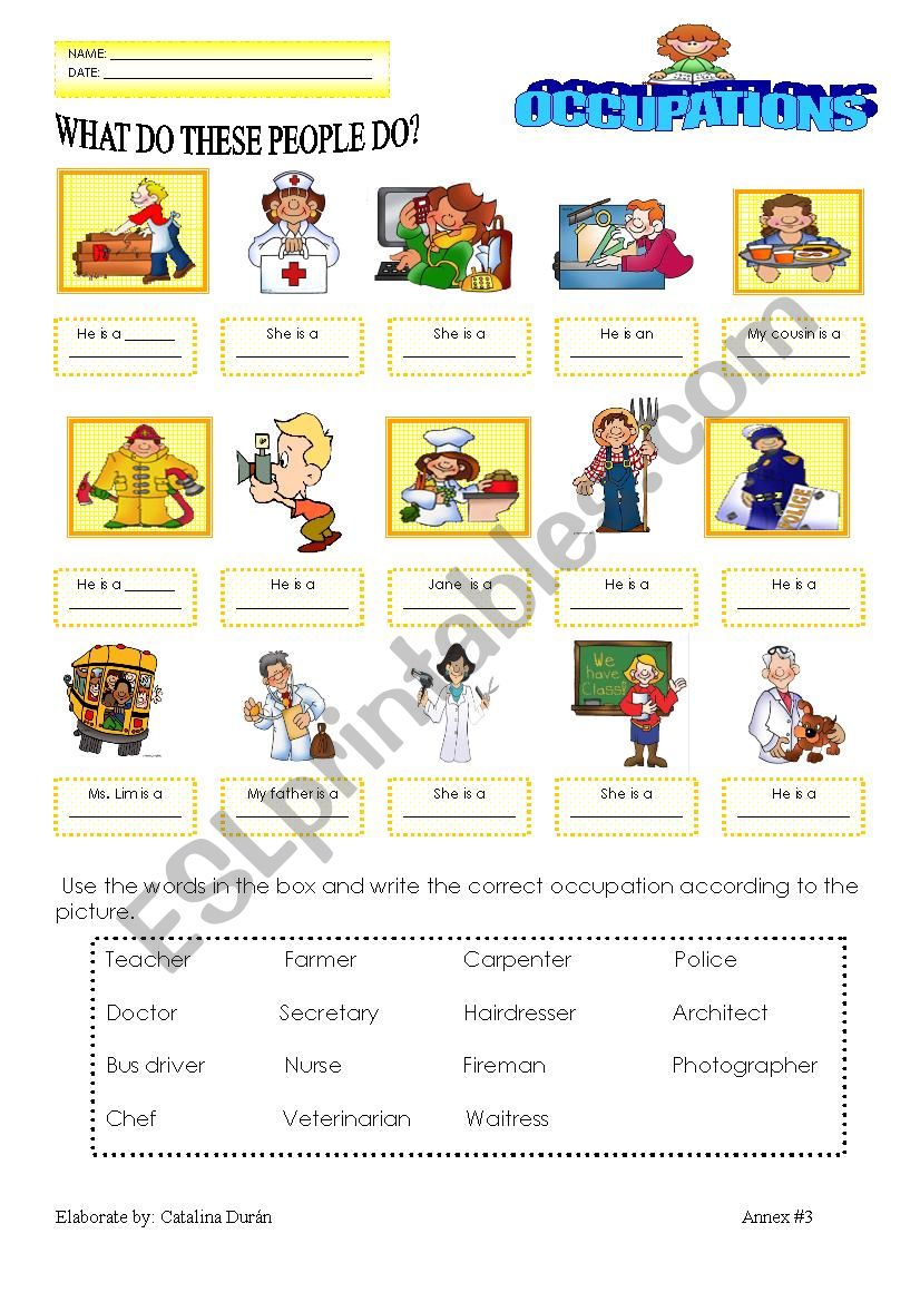 Professions-occupations worksheet