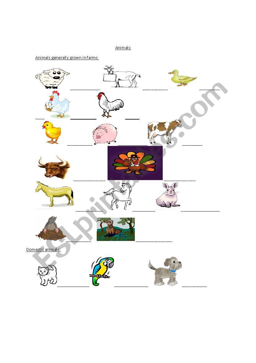 Animal Pictionary 1 worksheet